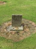 image of grave number 501574